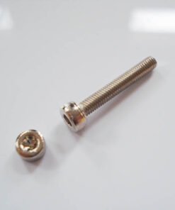 Pole Piece Schraube - Hexscrew - nickel