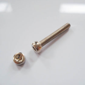 Pole Piece Schraube - Hexscrew - nickel