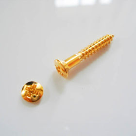 Universalschraube / Gurtpin - gold - LSK