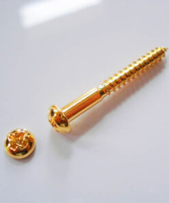 Tremolo Lagerschraube - Vintage / gold
