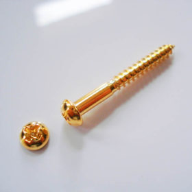 Tremolo Lagerschraube - Vintage / gold