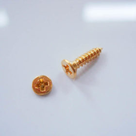 Pickup Rahmenschraube/ Universalschraube - gold