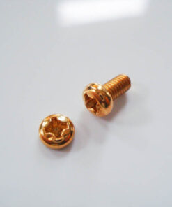 Kreuzschraube für Pickup-Wahlschalter - gold