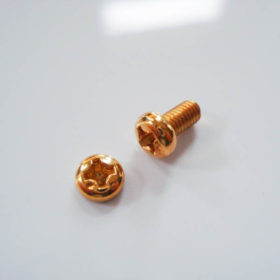 Kreuzschraube für Pickup-Wahlschalter - gold