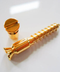 Tremolo Lagerbolzen / Holzschraube - Schaller (Set) gold
