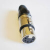 Stecker - XLR female - 5-polig