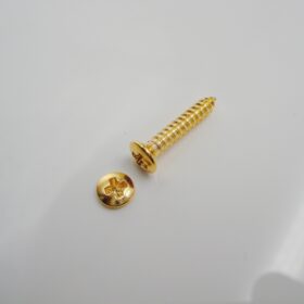 Humbucker Pickup - Rahmenschraube - Pickup Screw - Pickguard Schraube